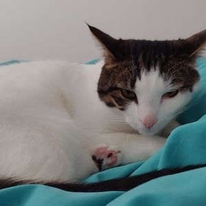 Meet your Posher, Tyler